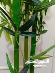  13 أشجار صناعي بجذع طبيعي شامل القوار