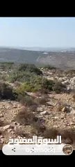 1 ارض للبيع في منطقه جفنا مساحه 15دونم سلطه سكن با