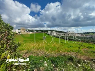  2 ارض للبيع قرب دابوق منطقة الدير تصلح لمشروع فلل ضخم بمساحة 12500م