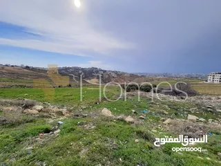  6 ارض للبيع تصلح لبناء فيلا خاصة في الدمينة بمساحة ارض 1000م