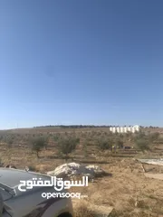  2 ارض للبيع  في الجميل أم رصاص    دنوم 8بسعر مغري
