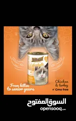  1 Cat food  طعام قطط