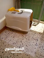  5 قطه نوع هملايا العمر سنة انثى للبيع معاها لتر بوكس حجم كبير