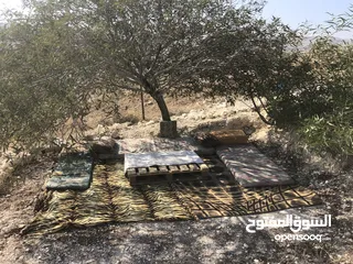  11 أرض بسعر مغري