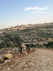  1 نمرتين للبيع اول كوبر خلف اسكان المعلمين مباشرة