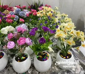  2 شروة مكرمة و قوار ورد
