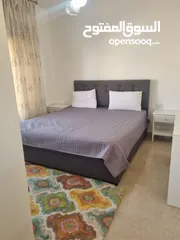  19 شقة مفروشة للإيجار  ( Property 42228 )-174873600
