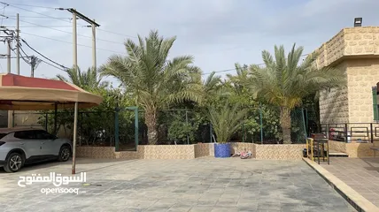  2 مزرعة للبيع في الغور في منطقة الروضة  المزرعة لم تؤجر و استخدام شخصي فقط