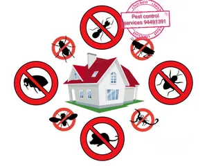  3 We provide you the best pest control service's We have fogging also