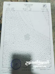  1 شقه مع روف الياسمين
