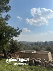  11 فرصة العمر مزرعة زيتون راقية  طريق اربد عمان كافه الخدمات 17 دونم و نص منتجه