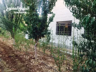  1 فيلا للبيع في صافوط طابقين وطابق تسوية الأرض 750m / مسطح البناء 600m / بناء حديث 4وجهات حجر