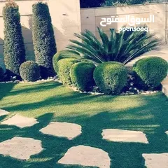  11 تنسيق الحدائق  نجيل بناء شلال نافورة باربكيو