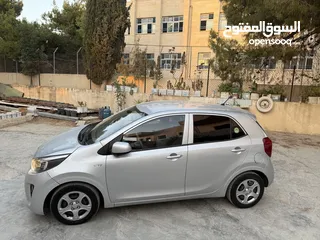  7 مورنينج بيكانتو 2020 نخب لسا بالنايلون ماشيه 40 كيلو فقط