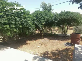 18 منزل دوبلكس للبيع مع مزرعه  شجر مزروع مثمرعدد 25 و شجر زينه 25 كرفان 70م يحتوي على مطبخ حمام وصاله