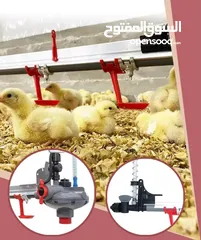  1 مستلزمات مزارع الدواجن الحديثة