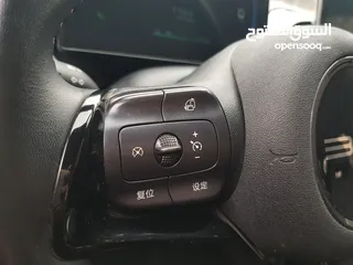  14 BYD E2 2023 LUXURY