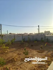  15 منزل للبيع