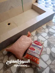  2 للبيع سح جواني نفيعه