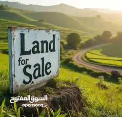  1 ارض مميزة للبيع كوشان مستقل في اجمل مناطق نابلس حي المعاجين قرب المدرسة الانجليزية تصلح لبناء عمار