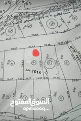  1 قطعة ارض للبيع في مدينة نابلس منطقة نابلس الجديدة موقع مميز ...