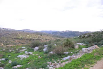  4 دونم ارض طابوا فلسطيني منطقة (B)بالقرب من دوار كفرصور جميع الخدمات فيها عليها شارع 12متر موقع مميز