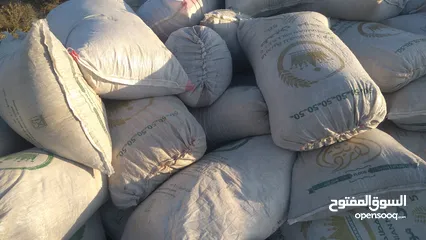  3 يوجد تبن بيقيا نخب اول للبيع