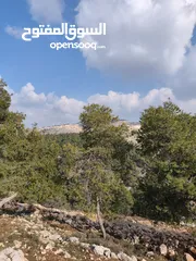  2 أرض للبيع في الصفا ذات اطلالة على الأحراش