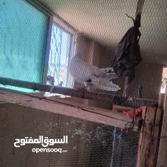  7 حمام للبيع