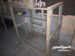  4 قنون طيور بحال الجديد للبيع