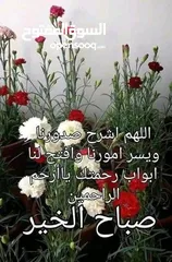  2 شقة للبيع ضاحية الياسمين
