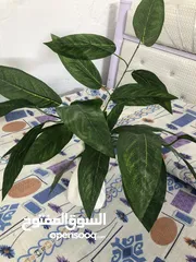  2 نبات اصطناعي للزينة