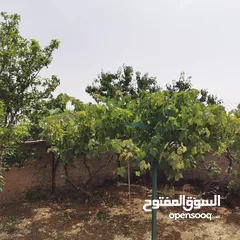  6 قطعة أرض للبيع