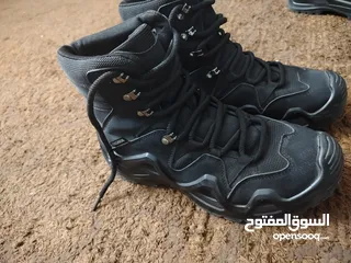  5 موجودات اربد حكما  كلهم وكاله