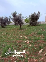  6 قطعة ارض سكنية في ناعور للبيع