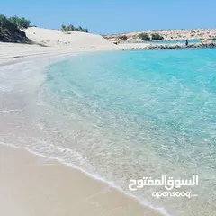  5 شاليه للبيع فى رأس الحكمة