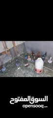  2 متاح 30 حبه طايرات بسحاب البيع كوم