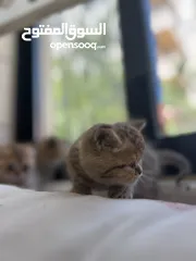  6 بسم الله ما شاء الله
