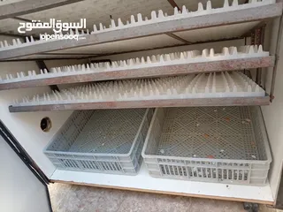  2 فقاسه 700 بيضه