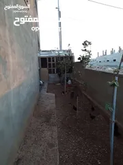  10 عماره للبيع