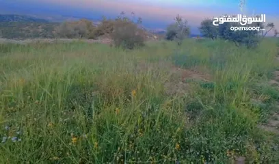  11 قطعه ارض للبيع من المالك مباشره ذات اطلاله بانوراما خلابه مفروزه