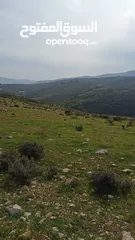  5 ارض تصنيف A للبيع مناسبه للأستثمار والسكن