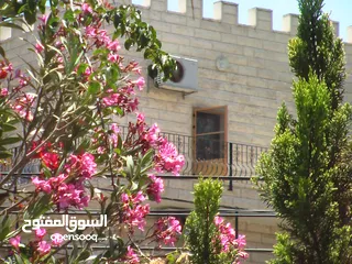  17 كاميرا Panasonic كلاسيكيه ديجيتال احترافيه تصوير فيديو و صور