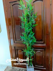  6 أشجار صناعي بجذع طبيعي شامل القوار