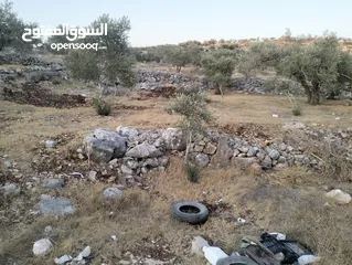  2 ارض زراعيه