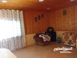  9 شفه فاخره مفروشه في العقبه للبيع
