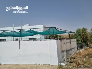  10 مزرعه للبيع  5 دونمات مع بيت