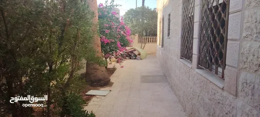  11 ؛شقه مستقله للاجار الزرقا الجديده شارع الفلاتر شارع البتراوي خلف مسجد عمر بن العاص
