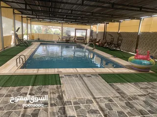  7 فلل نوفل للإيجار.  أريحا