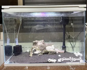  1 حوض سمك للبيع